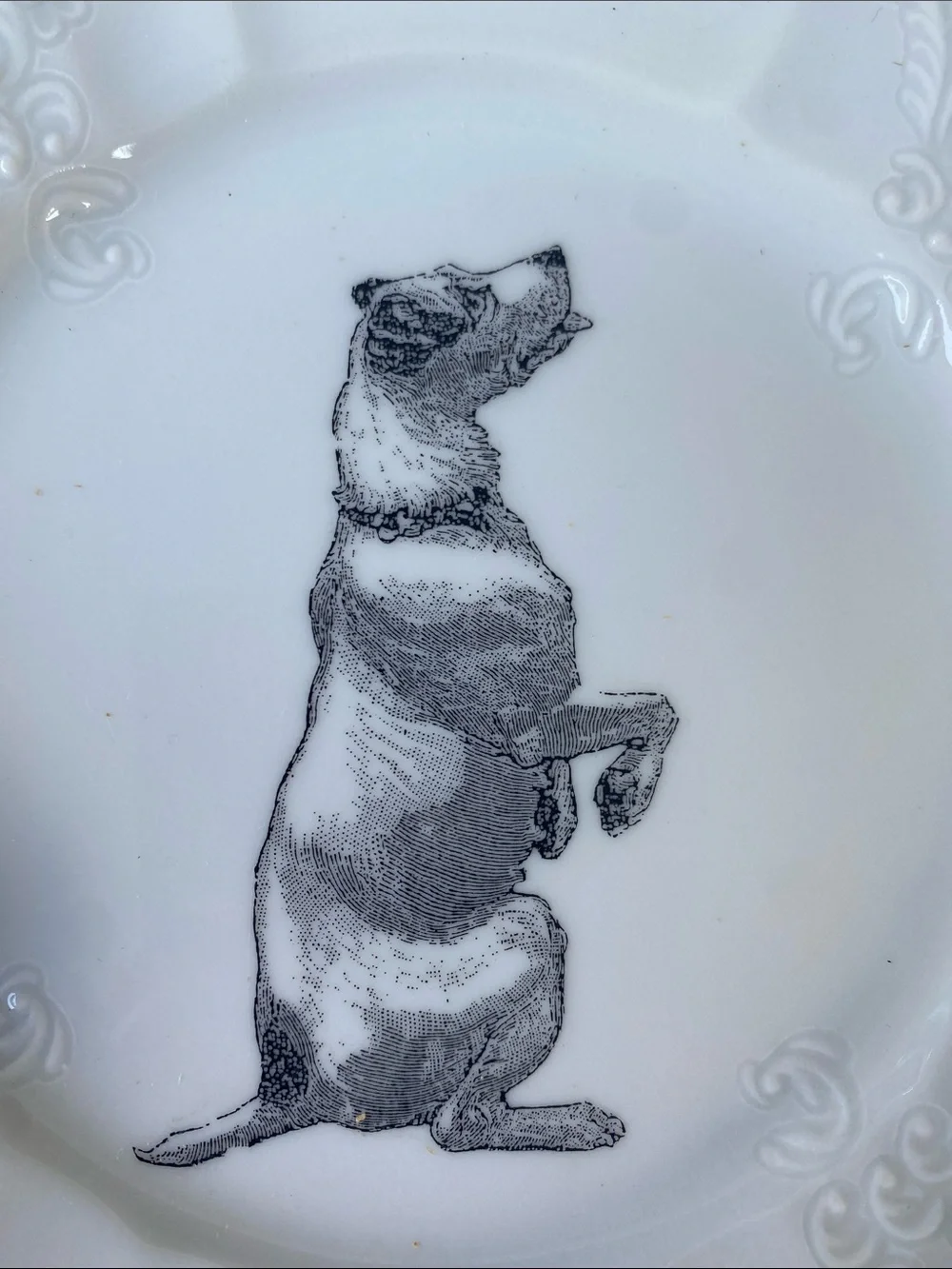 White Decorative Dog Plate - Home Dining Accent